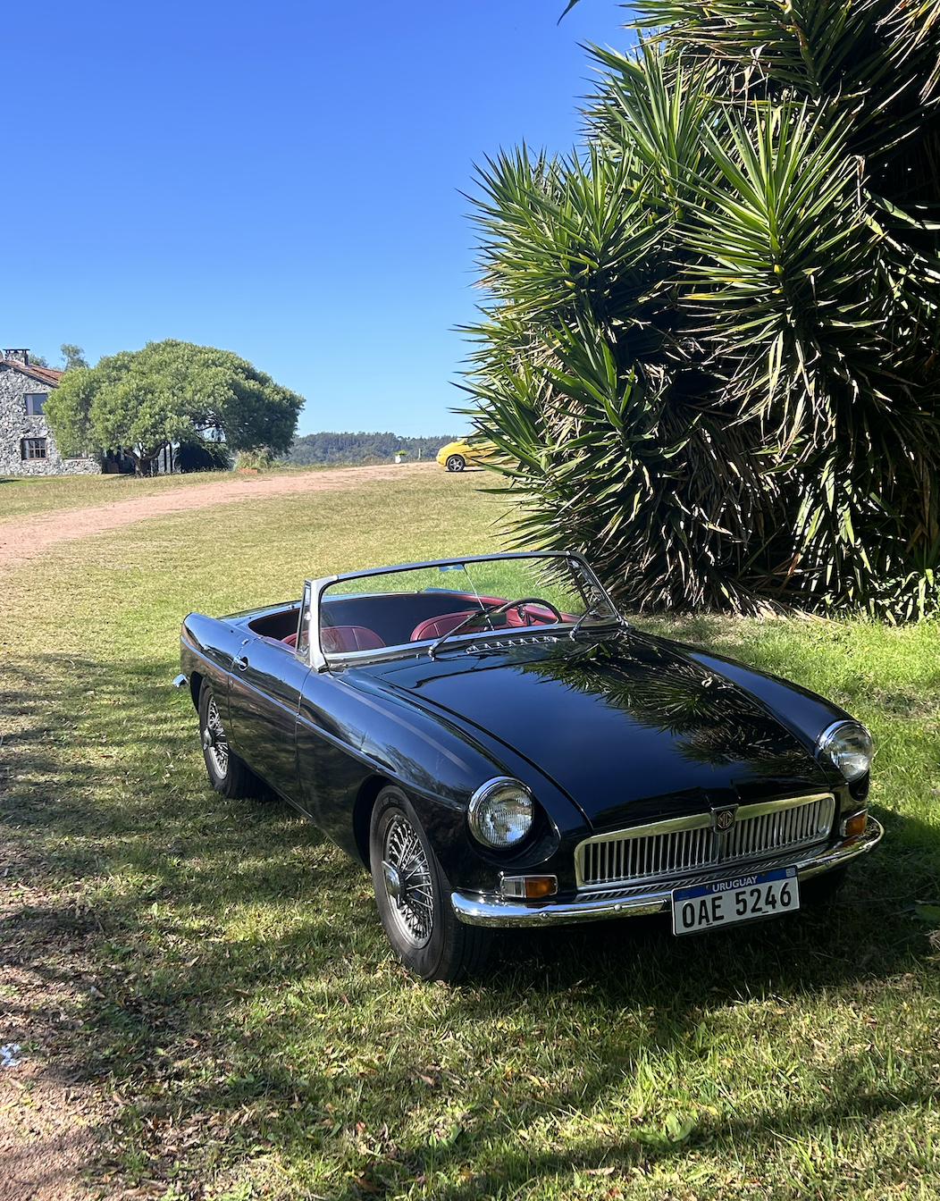 MG B 1965